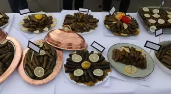Tekirdağ’da Zeytinyağlı Sarma Yarışması Düzenlendi